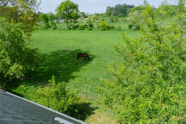 Landschaft