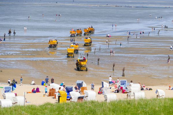 Strand