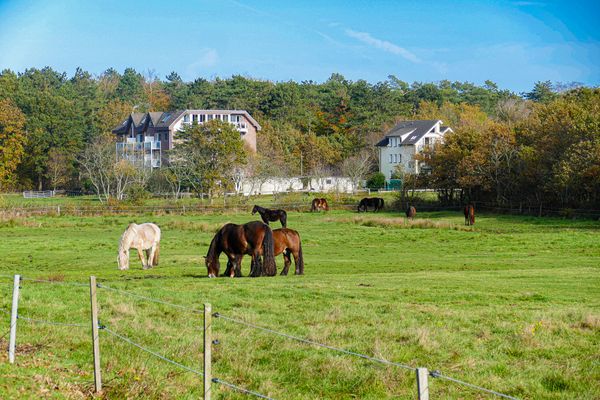 Gartenblick