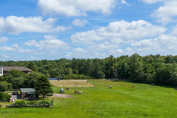 Landschaft