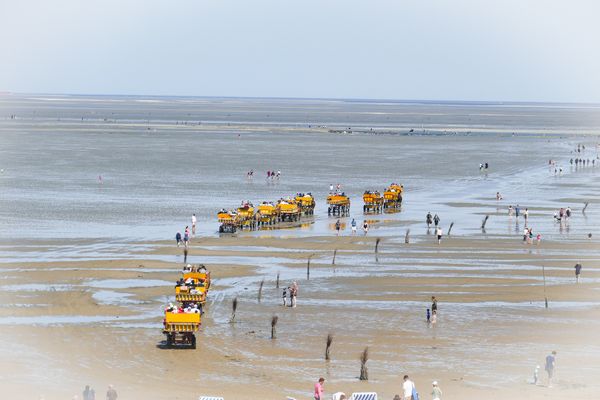 Strand