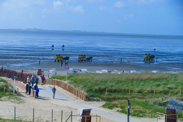 Strand