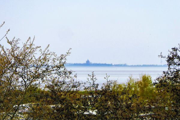 Gartenblick