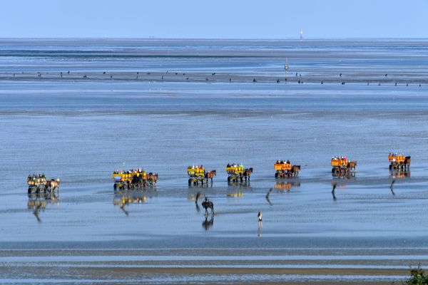 Strand