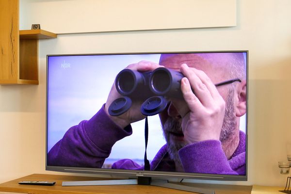 TV / Multimedia