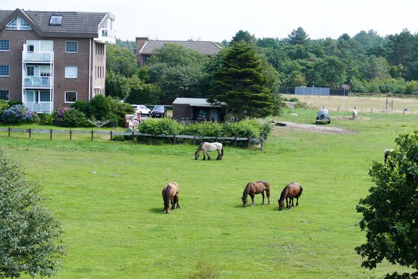 Haus Hohe Geest HG01