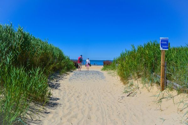 Strand