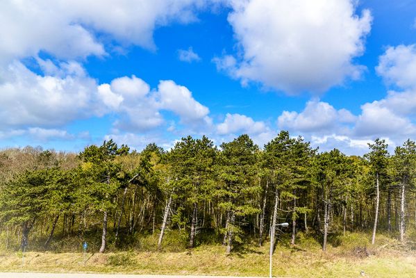 Landschaft