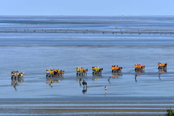 Strand