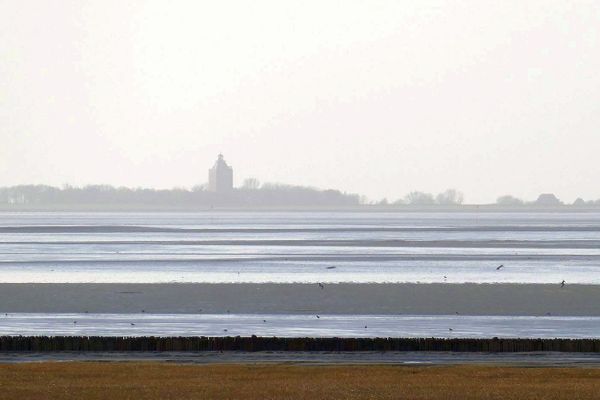Landschaft