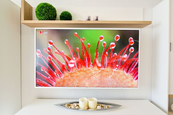 TV / Multimedia