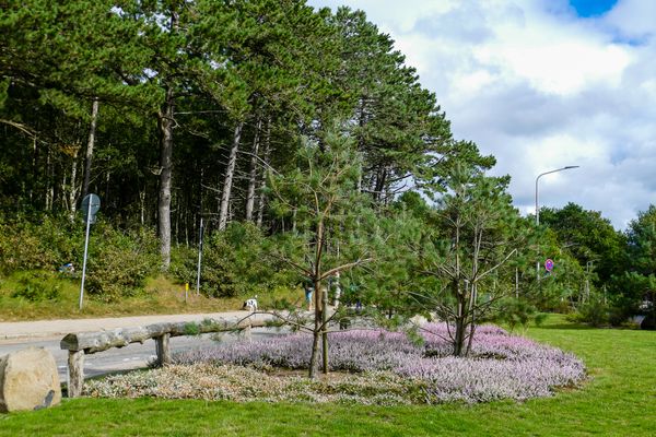 Landschaft
