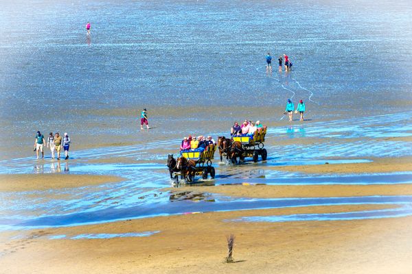 Beach Lodge BL08